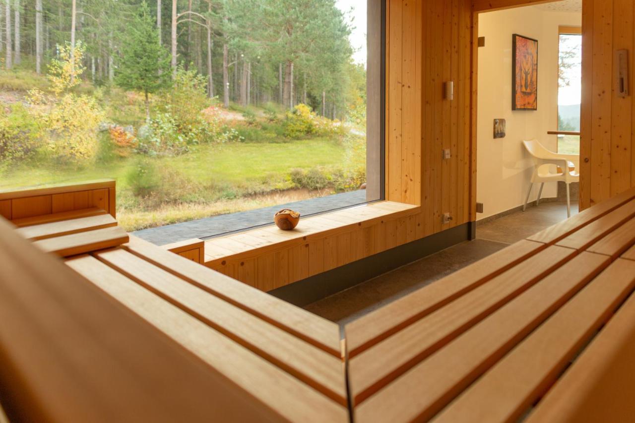 Hotel Schoene Aussicht Hornberg Bagian luar foto