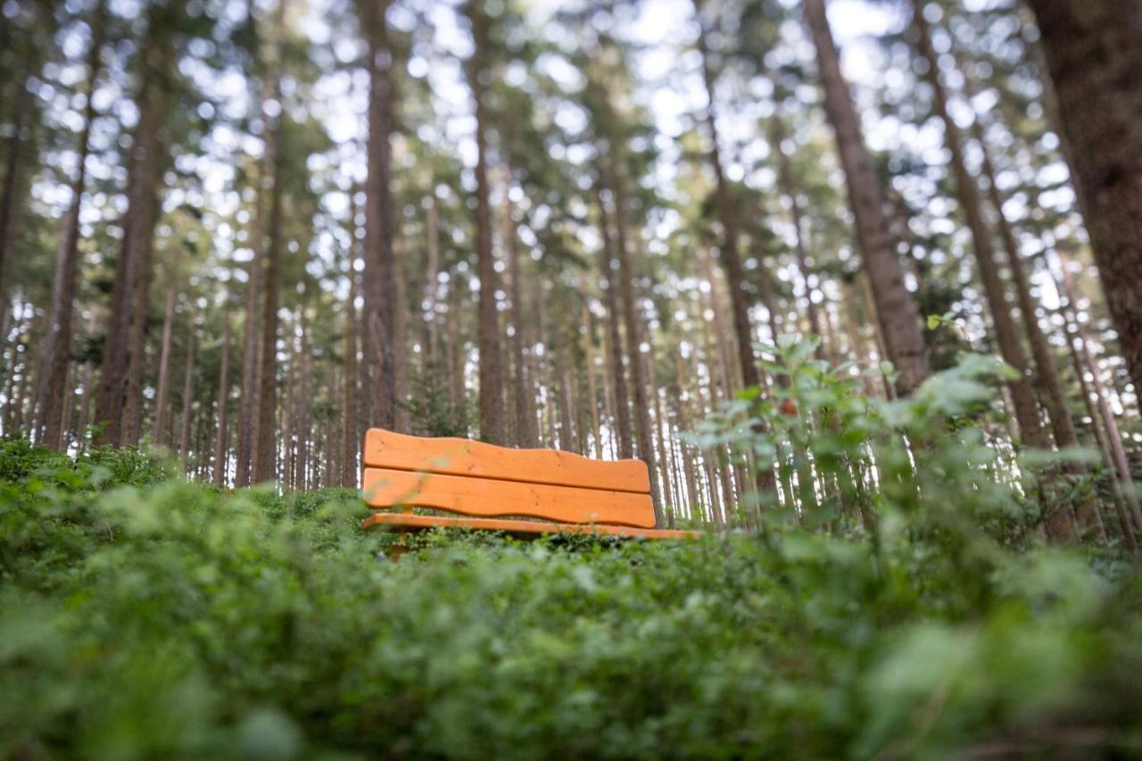 Hotel Schoene Aussicht Hornberg Bagian luar foto